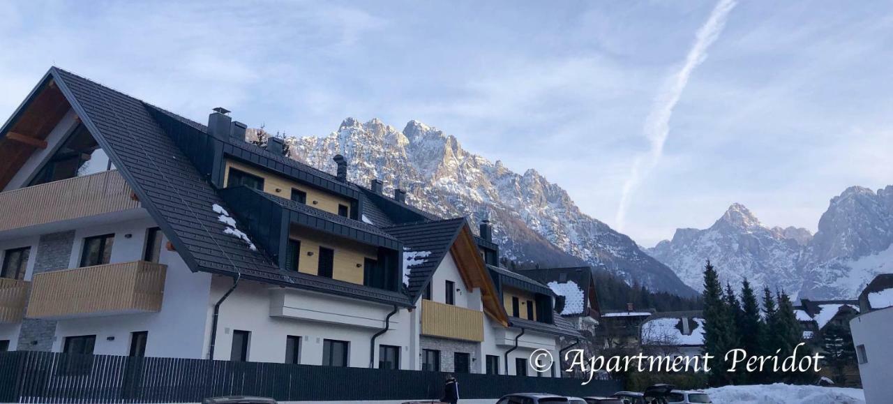 Vila Mojca Apartma Peridot - Center クランスカゴーラ エクステリア 写真