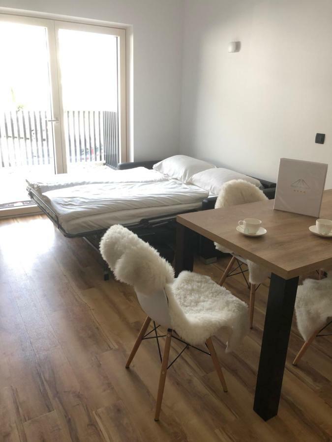 Vila Mojca Apartma Peridot - Center クランスカゴーラ エクステリア 写真